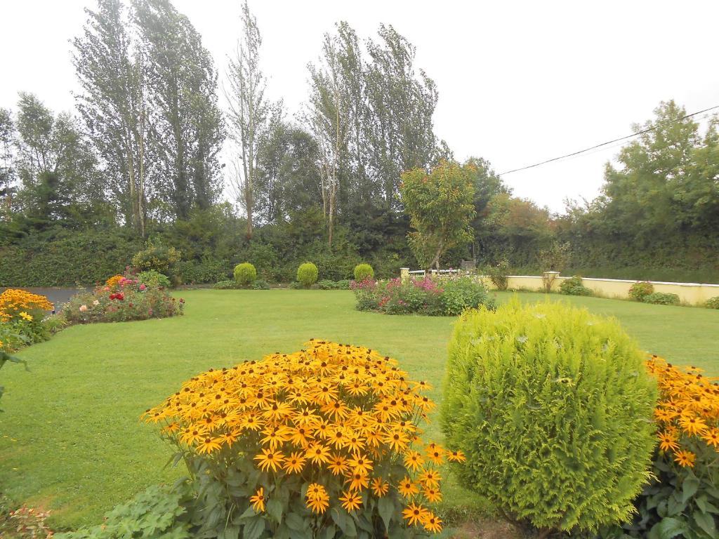 Gallows View Bed & Breakfast Bunratty ห้อง รูปภาพ